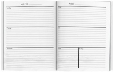 Week at-a-glance with two-page spread weekly views