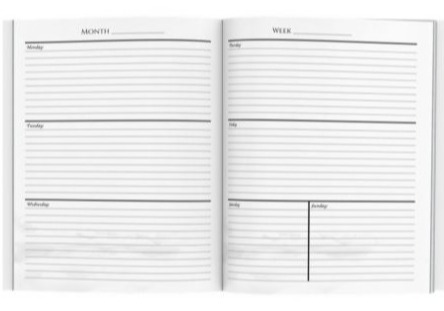 Week at-a-glance with two-page spread weekly views