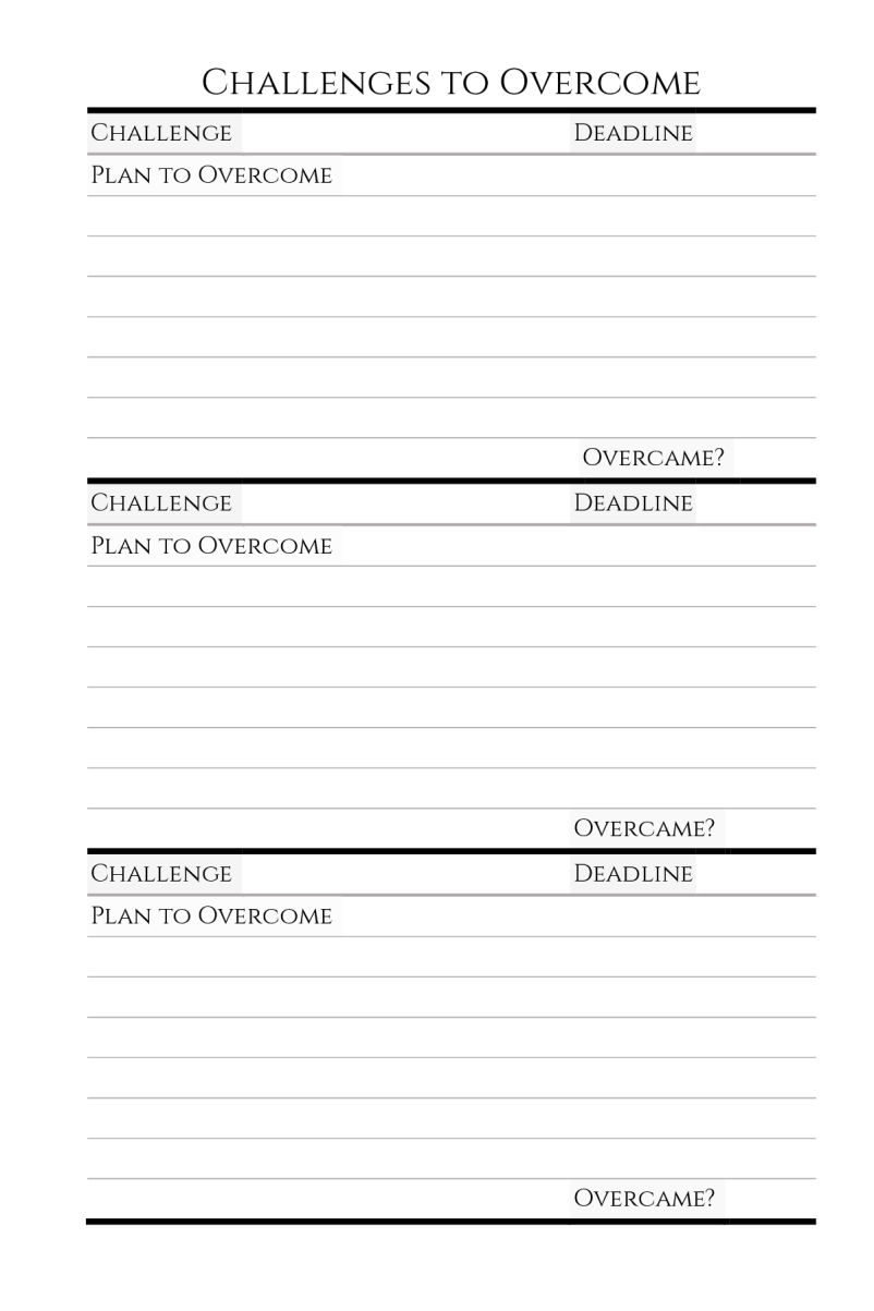 Big 5-Year Plan Goal Planner Prepare each year for challenges