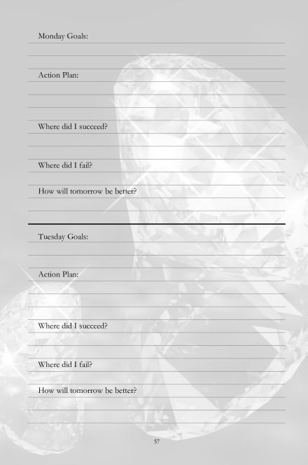 Daily goals & action plan plus evening check-in