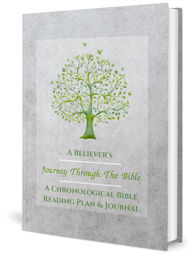 Journey Through The Bible:  A Chronological Bible Reading Plan & Journal Bible in a year - 2 year bible reading plan