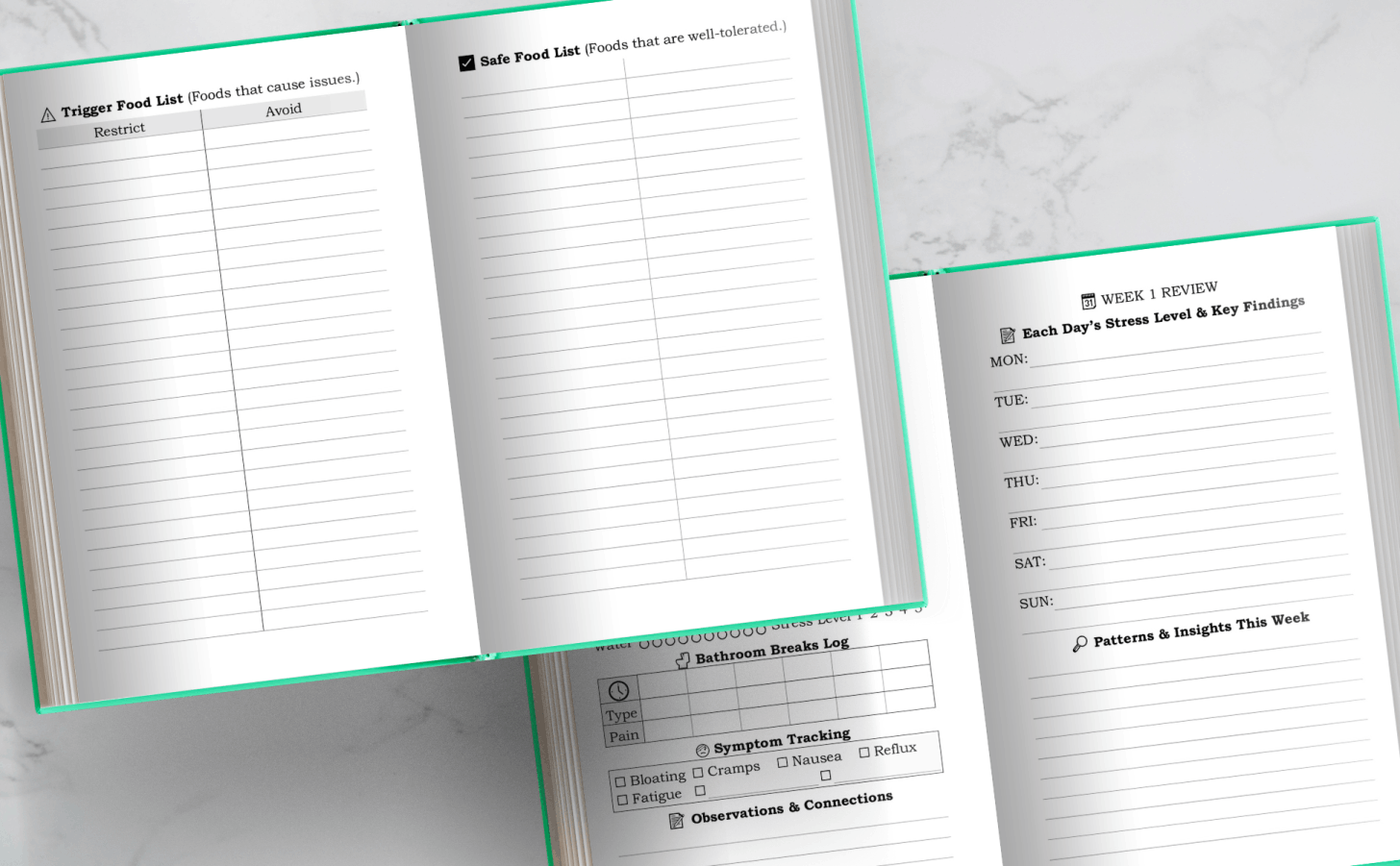 The “I Have Too Much To Do” Hourly Planner: 180 Undated 15-Minute Hourly Planning Pages With Shiny Object Parking Lot (Because… You Know)